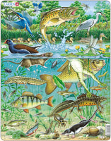 Larsen Puzzle Heimische Tiere im Gewässer 50-tlg.