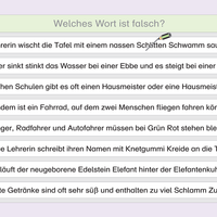Lies mal 5 - Das Heft mit dem Erdmännchen