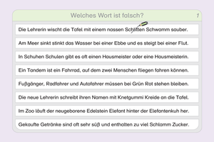 Lies mal 5 - Das Heft mit dem Erdmännchen