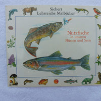 Nutzfische in unseren Flüssen und Seen