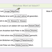 Lies mal 3 - Das Heft mit der Robbe