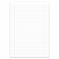 Staufen Schulheft Style Lineatur 27 liniert mit Doppelrand 16 Blatt 80g/m² DIN A4
