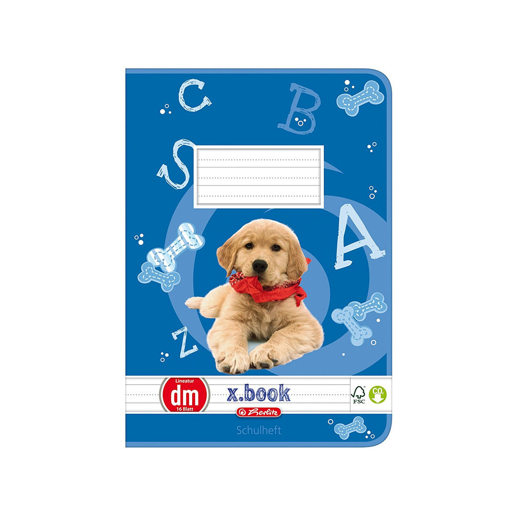 Schulheft x.book, DIN A4, Lineatur dm