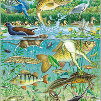 Larsen Puzzle Heimische Tiere im Gewässer 50-tlg.