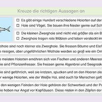 Lies mal 5 - Das Heft mit dem Erdmännchen