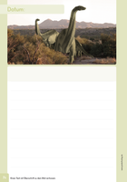 Geschichten schreiben: Erste Texte [Broschiert] by Wachendorf, Peter
