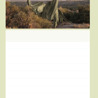 Geschichten schreiben: Erste Texte [Broschiert] by Wachendorf, Peter