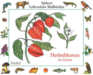 Herbstblumen: Malbuch