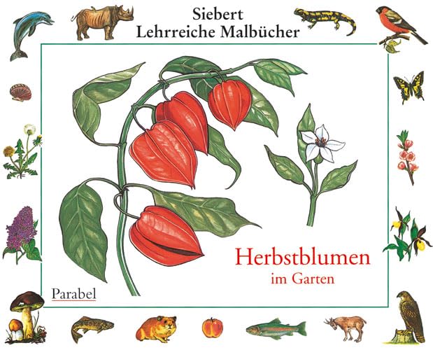 Herbstblumen: Malbuch