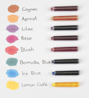 Schneider Tintenpatronen Pastell 10x6 Stück, sortiert, Standardpatronen
