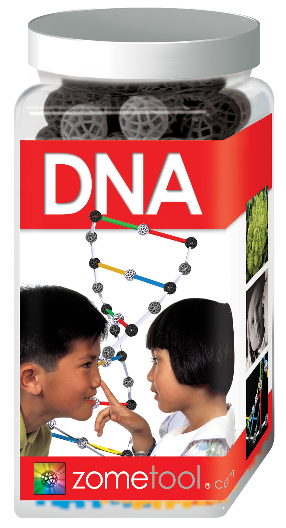 Zometool DNA Projektbausatz