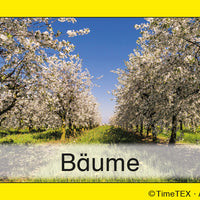 TimeTEX Team-Bildungs-Karten, 60-tlg. im Etui