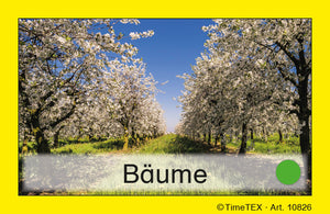 TimeTEX Team-Bildungs-Karten, 60-tlg. im Etui